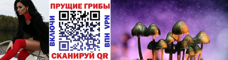 Купить где  Белокуриха  Псилоцибиновые грибы мухоморы 